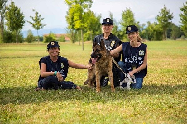 Alessandria, aperte le iscrizioni al corso per diventare guardia zoofila Oipa