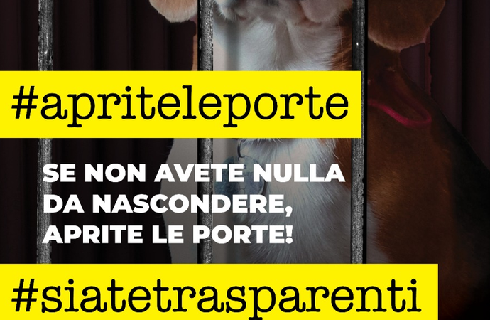 Verona : Beagle-cavie, Sabato 18 Settembre, Manifestazione delle Associazioni Animaliste, davanti la casa farmaceutica.