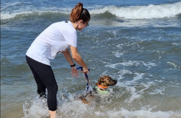 Trapani, cani senza famiglia al mare, con i volontari OIPA, per dimenticare la monotonia del box