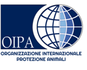 Ucraina, è emergenza anche per gli animali, Oipa International con i volontari nei territori sotto attacco.