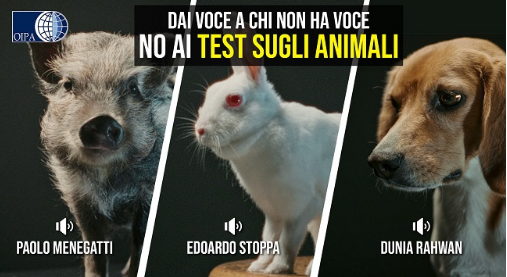 Sperimentazione sugli animali in Europa, i pensieri e le voci degli animali dei laboratori in un video.
