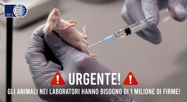 Test sugli animali in UE, 1,4 milioni di firme raccolte, Oipa : "Commissione Europea obbligata ad una scienza animal-free"